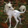Sabina's profile picture