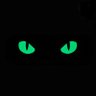 Фото профиля Wise Cute-Cat @wind change