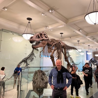 asteinsapir's profile picture