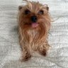 Bellabee33 的头像