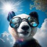 odm profil fotoğrafı