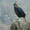नेपाली मन्🇳🇵🇳🇵's profile picture