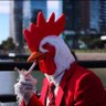 Gonzalo's profile picture