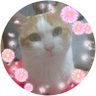 Profilbild von neko