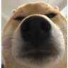 Profilbild von werek