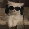 Wannasleep's profile picture