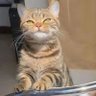 🍉gentle profil fotoğrafı