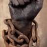 WeThePeople's profile picture