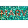 MarV 的头像