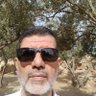 Mustafa Kayadibi's profile picture