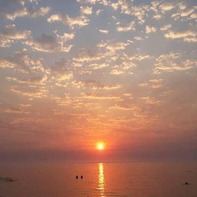 HananSham2's profile picture