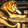 Booze Lion profil fotoฤrafฤฑ