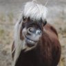 RektTangularPrism profil fotoğrafı