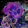 conglomeration's profile picture