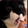 Seth Johnson's profile picture