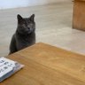 ゆう profil fotoğrafı