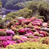 Фото профиля 佐藤明吉