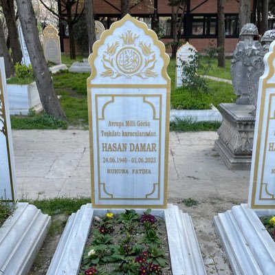 DamarHasandamar's profile picture