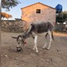 E_gulin profil fotoğrafı