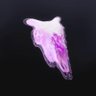 DashNation's profile picture