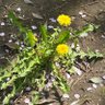 幸恵 上部 的头像