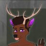Q33r D33r 🦌 profil fotoğrafı