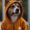 0ᛤStrikerBR's profile picture