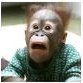 bentway's profile picture