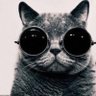 El sancho's profile picture