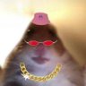 Profilbild von HAMIs Best Friend 🐹✨