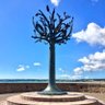 libertree profil fotoğrafı