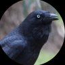 Фото профиля The Raven