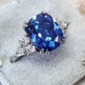 Sapphire1619 profil fotoğrafı