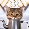 お湯がでないよ's profile picture