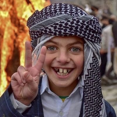 nevvrozedit's profile picture