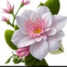 M. Farooq Khan Wazir 的头像