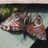 Фото профиля Jaine