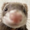 Profilbild von 555