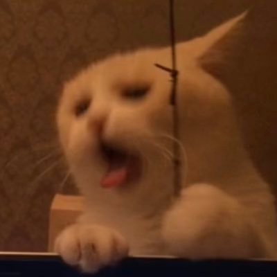 LengDan__'s profile picture