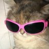 Profilbild von cutmythought