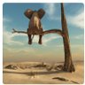 Chris Nzoko's profile picture