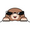 Profilbild von KY