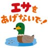 物議を醸すカモ🦆's profile picture