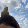 Profilbild von m kişisi