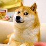 JEH's profile picture