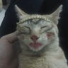 ladymacbeth's profile picture