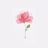 Abby 💫's profile picture