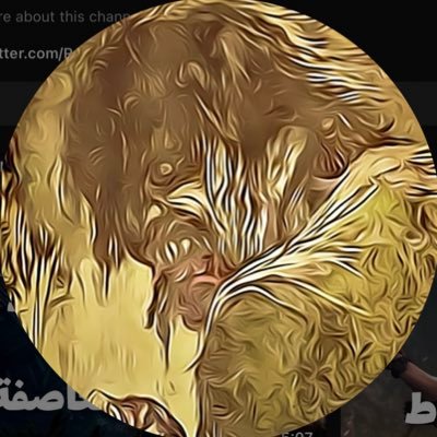 Ranking9001's profile picture