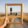 Bigger Picture's profile picture