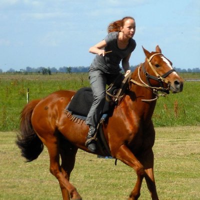 sashalatypova.substack.com "Due Diligence and Art"'s profile picture